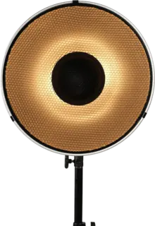 Nanlite Beauty Dish Reflector 40cm 40cm Metallreflektor + grid Bowens Mount