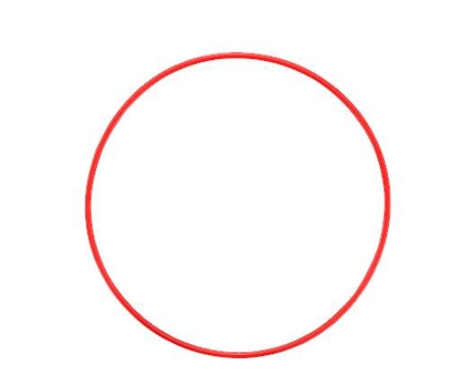 Olympus O-ring POL-EP14 til PT-EP14 O-ring POL-EP14 til PT-EP14
