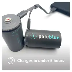 Pale Blue Oppladbare Li-Ion D Batterier 2-pack oppladbare D med ladekabel
