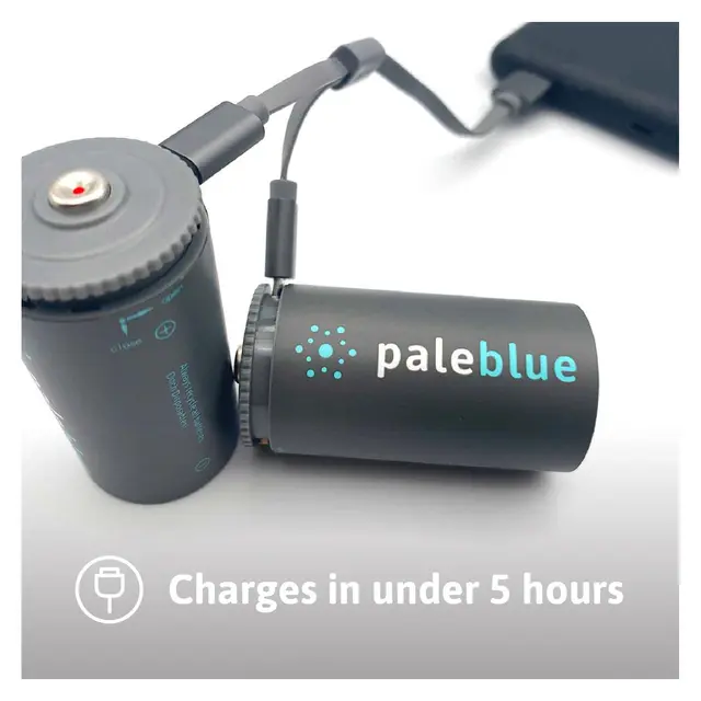 Pale Blue Oppladbare Li-Ion D Batterier 2-pack oppladbare D med ladekabel 