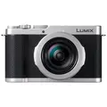 Panasonic Lumix L10 Silver