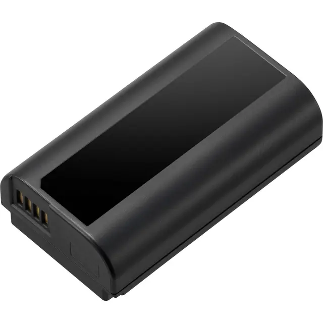 Panasonic DMW-BLJ31E Battery S1 -serie Originalbatteri til S1, S1R kamera 