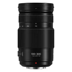 Panasonic 100-300mm f/4-5.6 II Lumix G Vario II Power  O.I.S