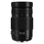 Panasonic 100-300mm f/4-5.6 II Lumix G Vario II Power  O.I.S