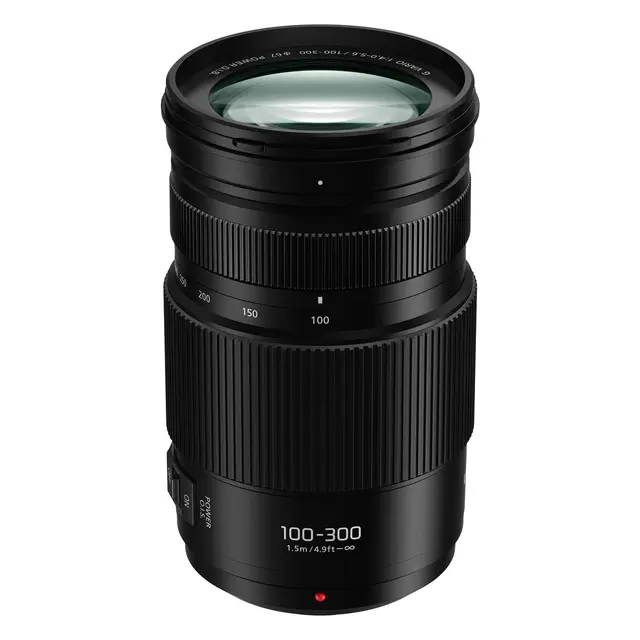 Panasonic 100-300mm f/4-5.6 II Lumix G Vario II Power  O.I.S 