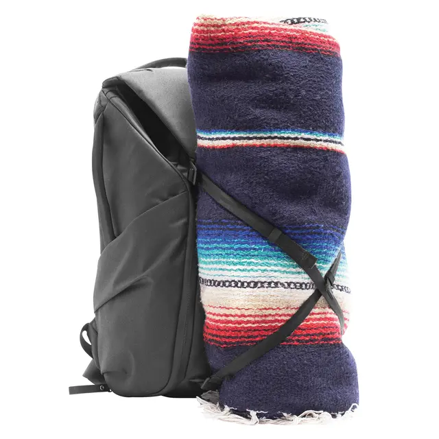 Peak Design Everyday Backpack V2 20L Black 