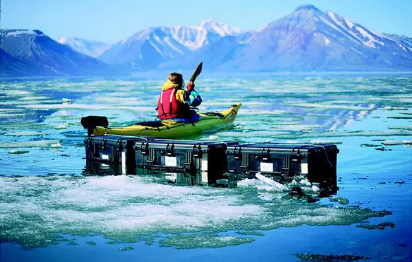 Peli™ 1650 Protector Case m/skum, sort Innv. mål: 724x441x267 mm 
