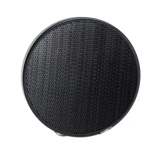 Profoto Honeycomb Grid 5&#176;, 180 mm Raster for Zoom reflektor