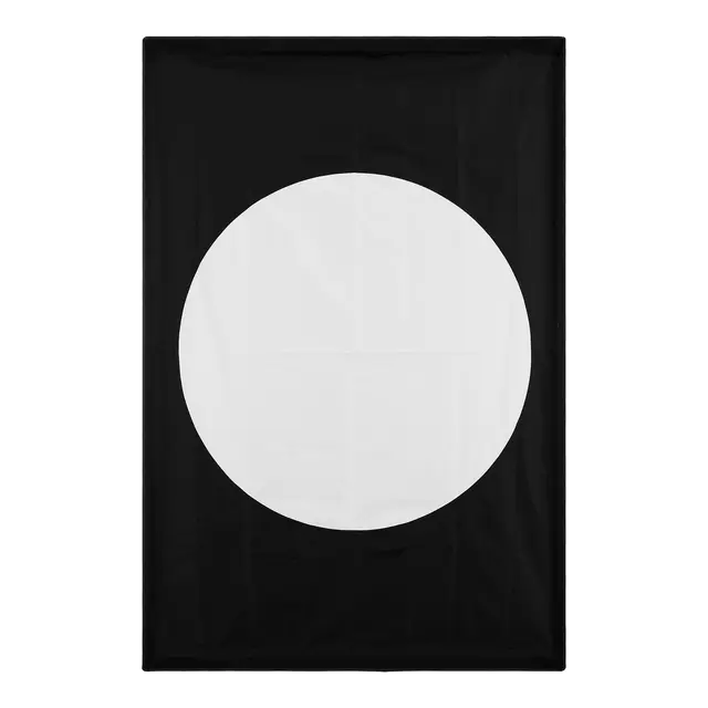 Profoto Mask Kit 4x6' 