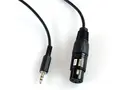 Pulse XLR hun - Mini Jack 3m