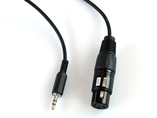 Pulse XLR hun - Mini Jack 3m 