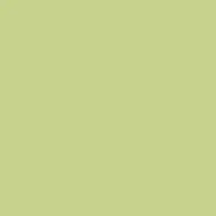 Rosco E-Colour+ 244 Plus Green Rull