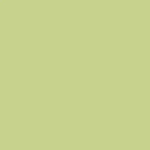 Rosco E-Colour+ 244 Plus Green Rull 