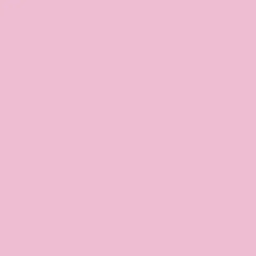 Rosco E-Colour+ 248 Half Minus Green 