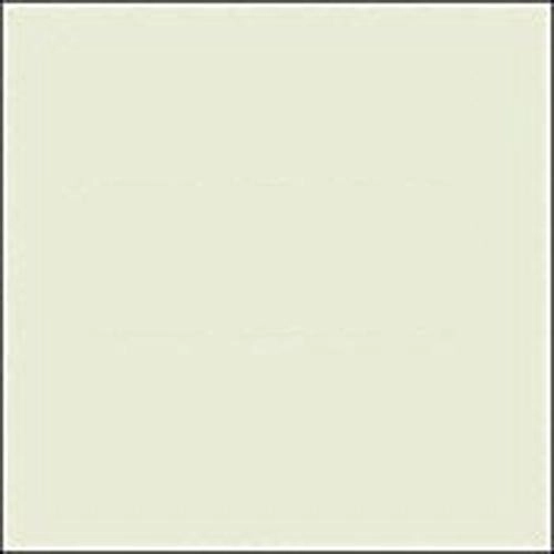 Rosco E-Colour+ 278 Eighth Plus Green Rull