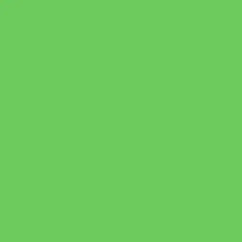 Rosco Roscolux 4460 CC 60 Green 2 Stop 1.22x7.62m 