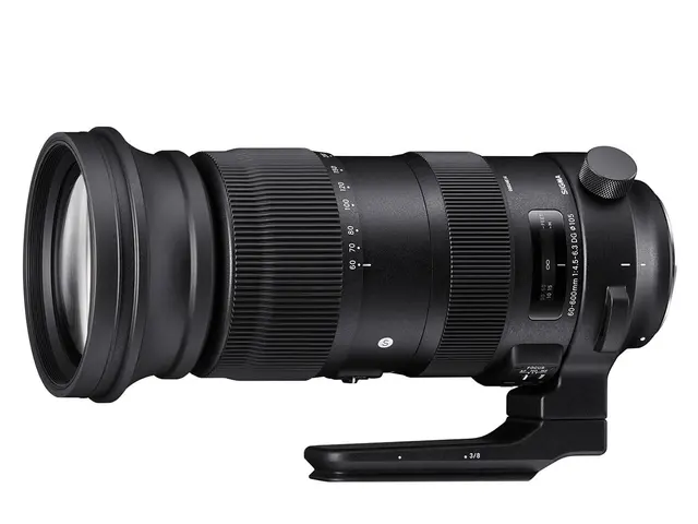 Sigma 60-600mm f/4.5-6.3 DG OS HSM Sport Nikon 