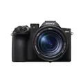 Sony RX10 V 1" sensor, 24-600mm