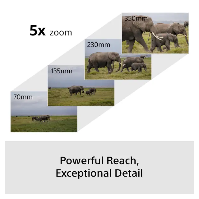 Sony A6700 Wildlife Kit m/16-50mm f/3.5-5.6 + 70-350mm f/4.5-6.3 