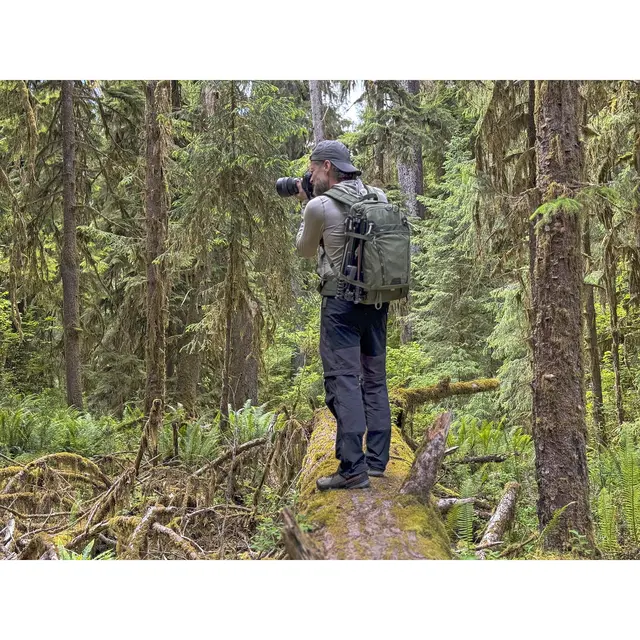 Think Tank Mindshift BackLight 18L Green 18L Fotoryggsekk. Montane Green 