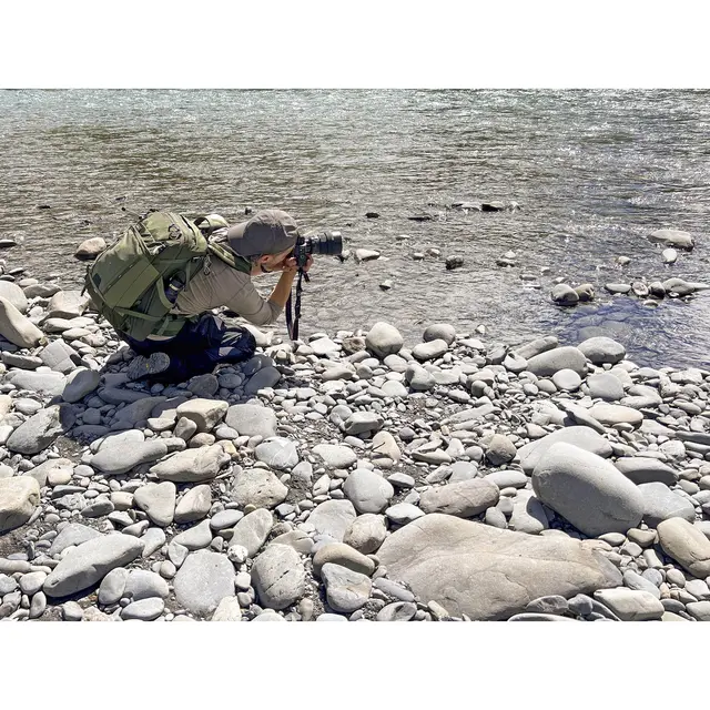 Think Tank Mindshift BackLight 18L Green 18L Fotoryggsekk. Montane Green 