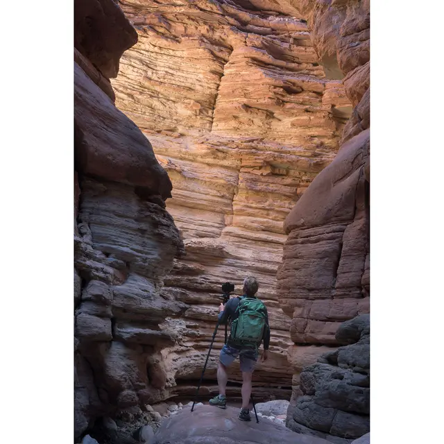 Think Tank Mindshift Backlight 36L Green Fotoryggsekk. Montane Green 