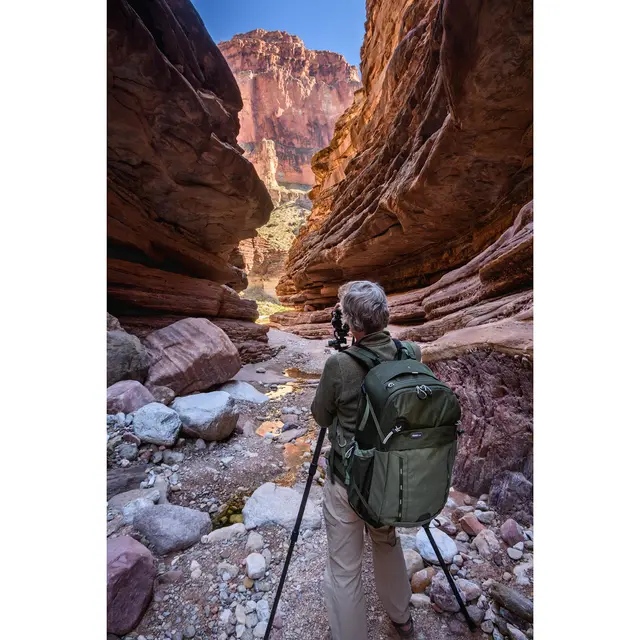 Think Tank Mindshift Backlight 36L Green Fotoryggsekk. Montane Green 