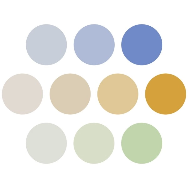 Westcott Color Correction Gel Pack Spot Gel Pack Optical Spot by Lindsay Adler