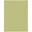 Westcott X-Drop No-Wrinkles Backdrop Light Moss Green 1,5 x 2,13 m 