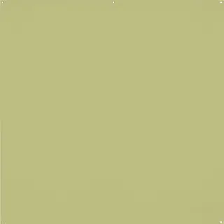 Westcott X-Drop Pro No-Wrinkles Backdrop Light Moss Green 2,44 x 2,44 m (8' x 8')