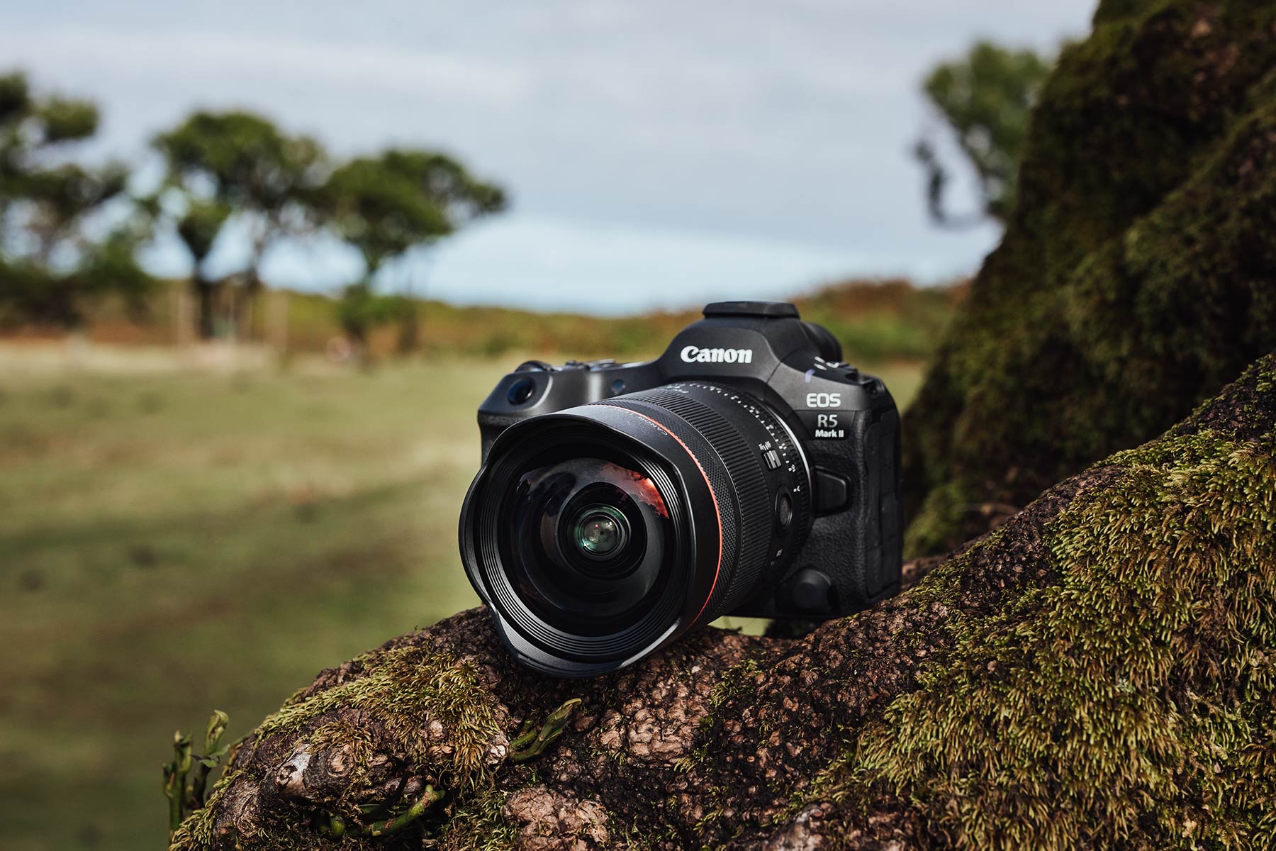 Canon RF 14mm f/1.4 L VCM miljøbilde